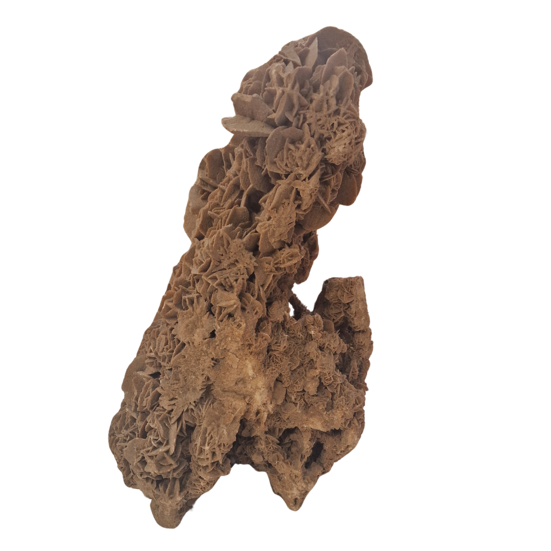 Mineral de colección Rosa del Desierto de gran tamaño - Imagen 2
