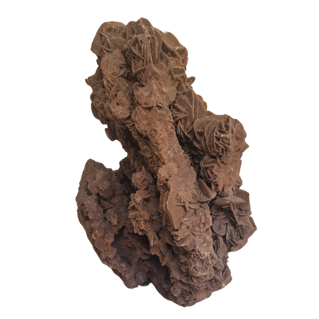 Mineral de colección Rosa del Desierto de gran tamaño - Imagen 3